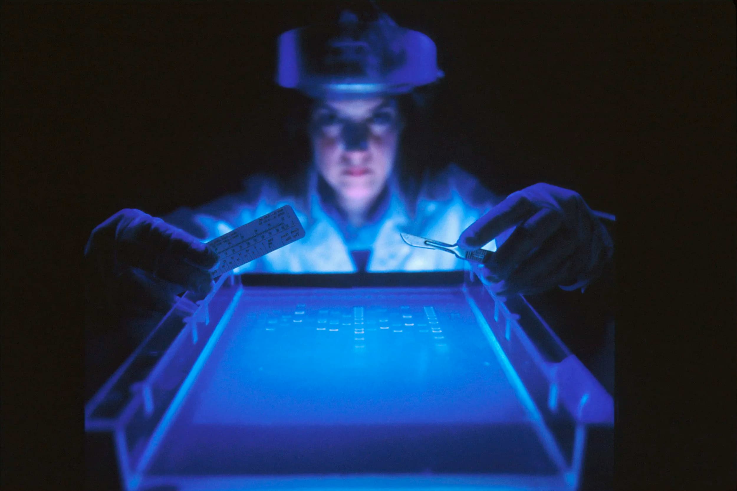 Laboratory professional at work